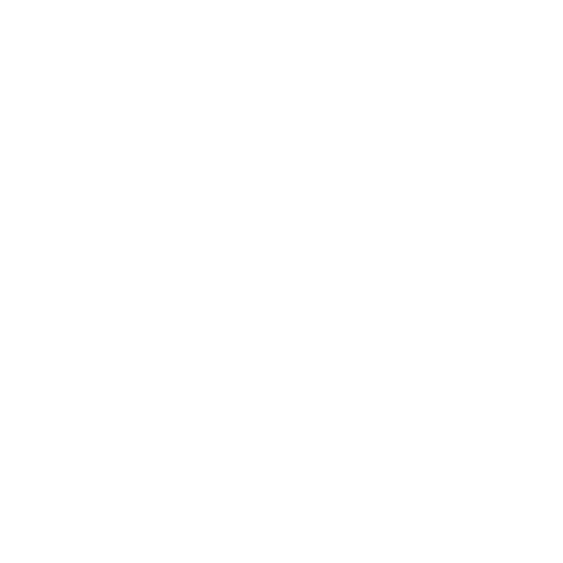 IT Consultancy