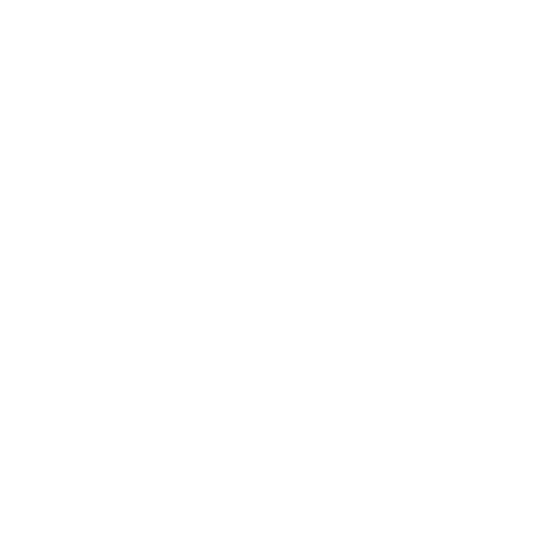 Security Expertise