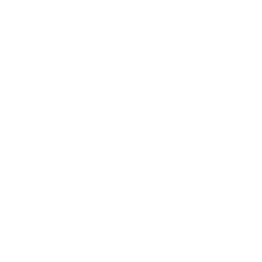 Robust Software